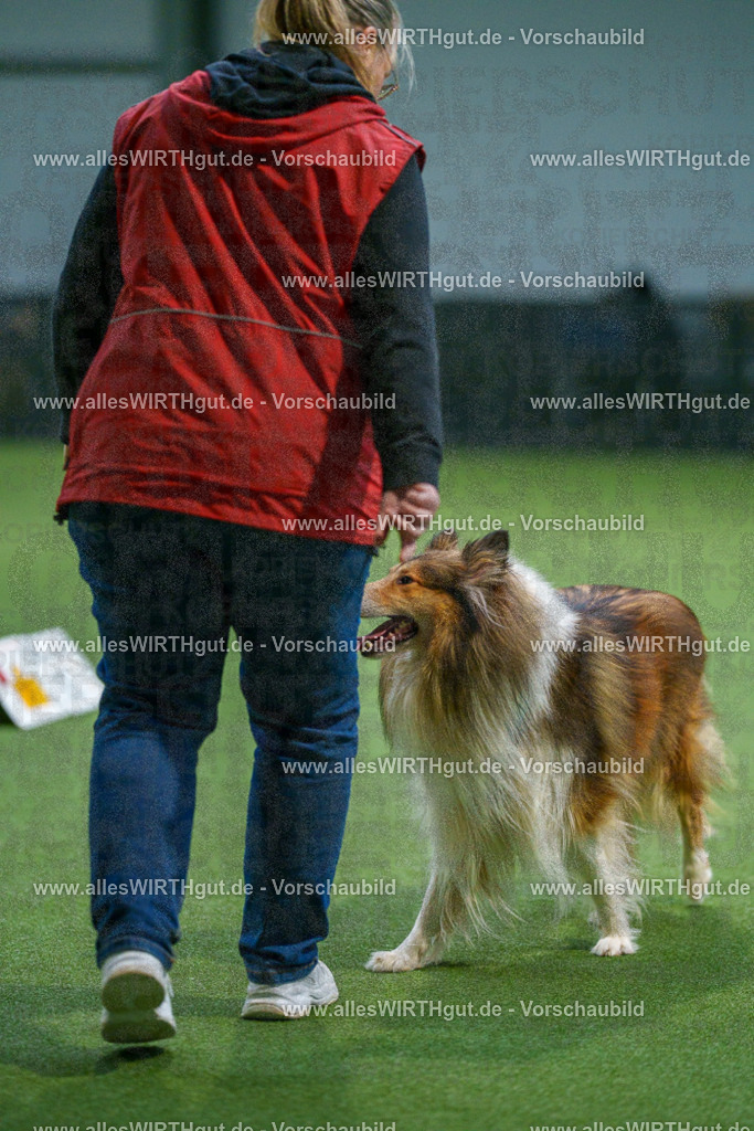 7R500423 | Professionelle Tierfotografie in Mönchengladbach von Daniel Wirth (allesWIRTHgut). Liebevolle & natürliche Bilder von Hunden & Katzen für unvergessliche Erinnerungen.