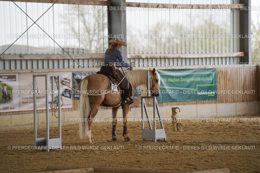 DSC06610 | Pferdegrafie