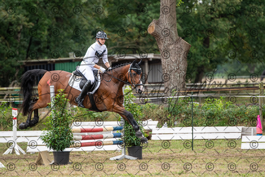 SHT_7609 | andre_photographic