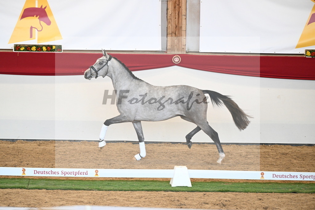 Kat.-Nr. 72 v. Johnson_Lehner_2250613 | hf-fotografie - Realisiert mit Pictrs.com