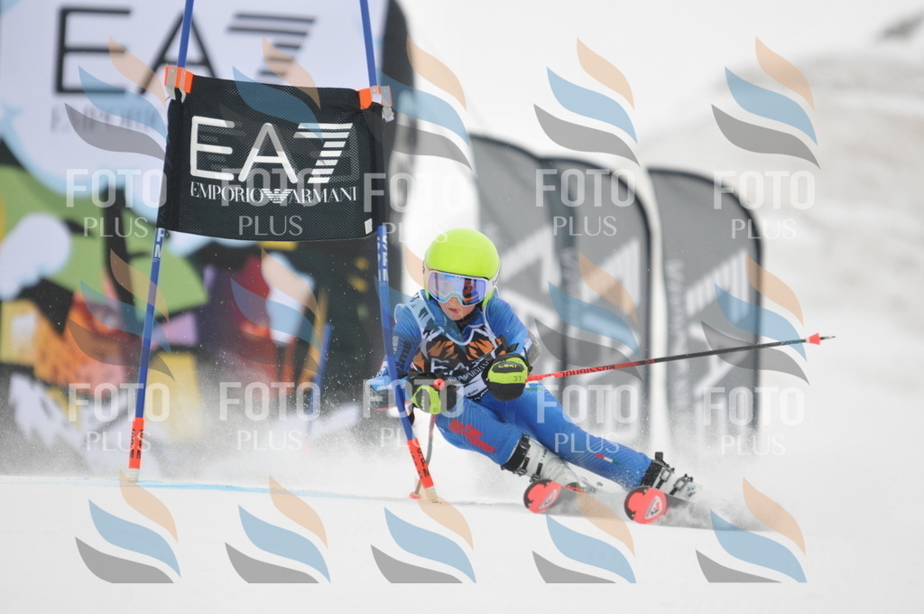 DSC_7719 | holidayphoto