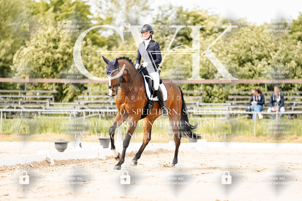 CK900715 | Turnierfotografie Pferdefotografie Trier Rheinland-Pfalz Pferdesport Reitsport Tierfotografie Sportfotografie Pferdevideo Pferdevideografie Equestrianvideography equestrianphotography  - Realisiert mit Pictrs.com