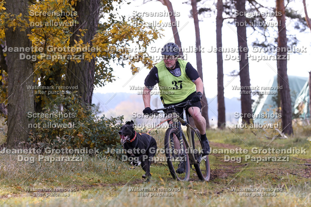 Dog Paparazzi - Elsholz 25 -142 | Dog Paparazzi Jeanette Grottendiek Fotografie & Videografie - Realisiert mit Pictrs.com