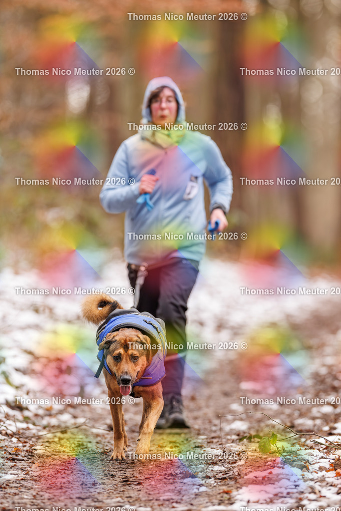 Thomas_Nico_Meuter(C)_223A9356 | Bild von Thomas Nico Meuter - Realisiert mit Pictrs.com