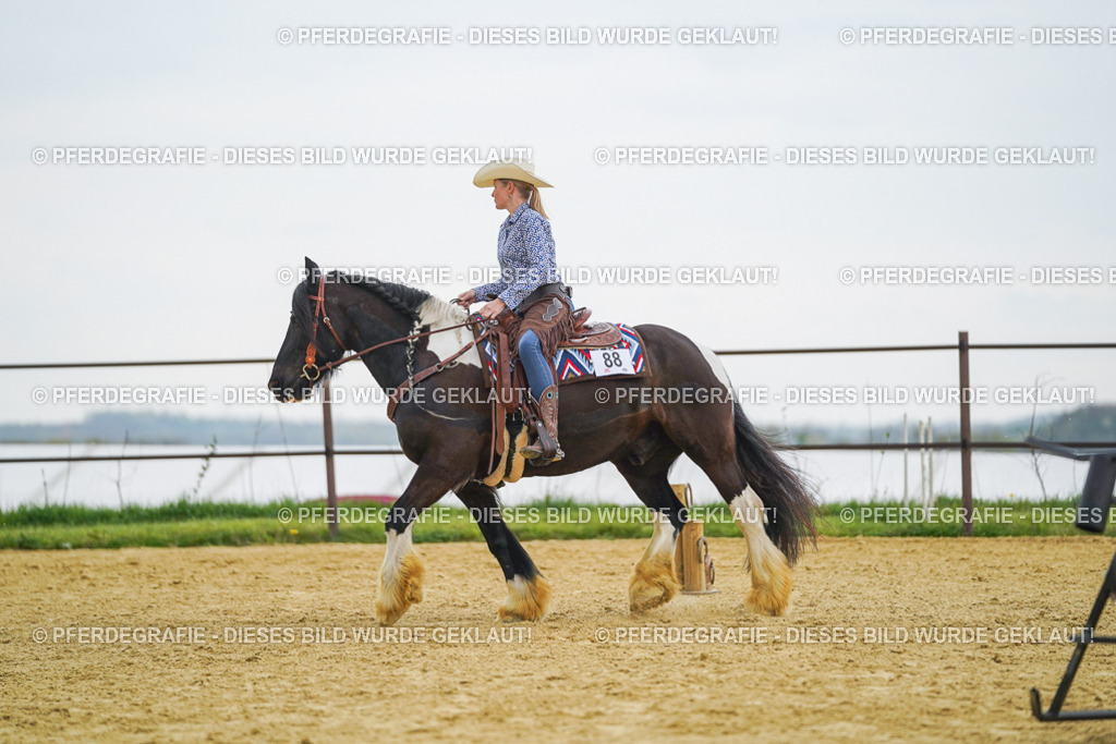 DSC08030 | Pferdegrafie