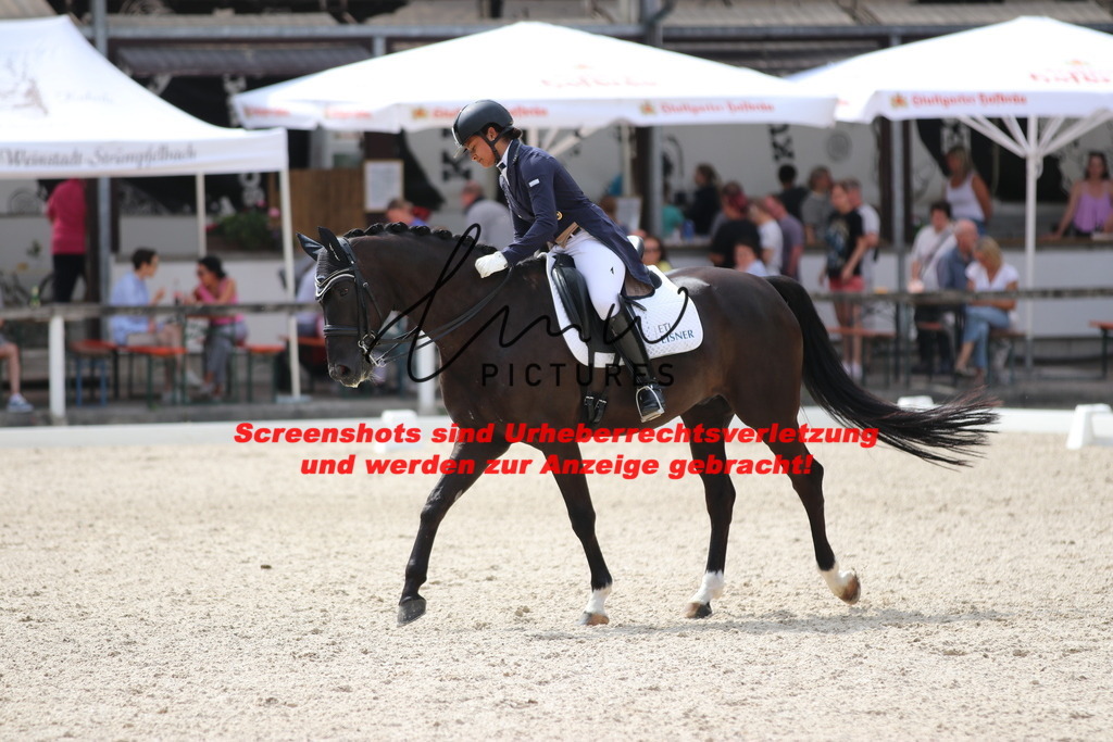 IMG_1555 | lmwpictures - Realisiert mit Pictrs.com