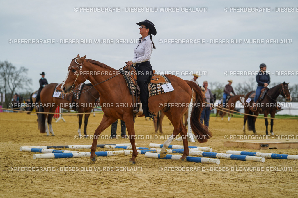 DSC02600 | Pferdegrafie