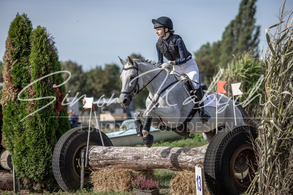 20250907-_3LI9633 | Tierfotografie Pferde, Hunde, Katzen, Haustiere.
Turnierfotografie Reitturniere, Reiten, Springreiten, Dressur in Hanau, dem Main-Kinzig-Kreis und dem Rhein-Main- Gebiet um Frankfurt