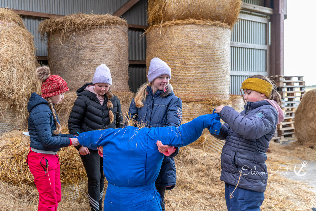 EAF_2227 | Eilun-Art-Fotografie Levke Martens, ihre Fotografin für Immobilien- und Landschaftsfotografie auf Föhr, Föhrer Motive als Poster, Leinwand, hinter Acrylglas oder stelle dir deinen eigenen Monatskalender zusammen, mit nur einem Klick