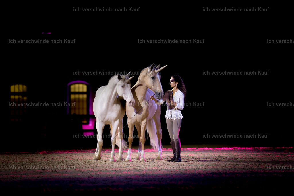 Gala-415 | working equitationturnier fotograf videograf stoibphotography marixx film working equitation deutschland reitsport turnierfotografie eventfotografie equestrian events