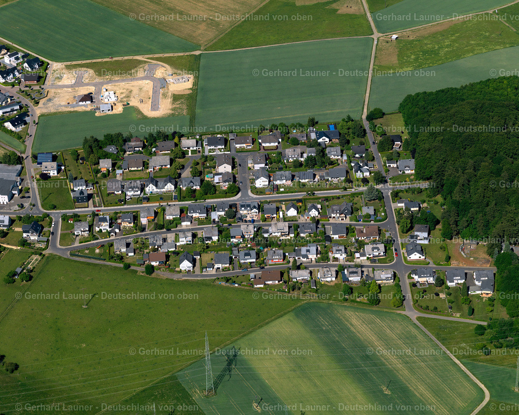 3123835 | Halsenbach