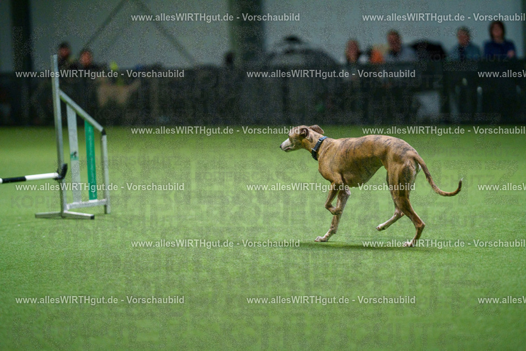 7R500365 | Professionelle Tierfotografie in Mönchengladbach von Daniel Wirth (allesWIRTHgut). Liebevolle & natürliche Bilder von Hunden & Katzen für unvergessliche Erinnerungen.