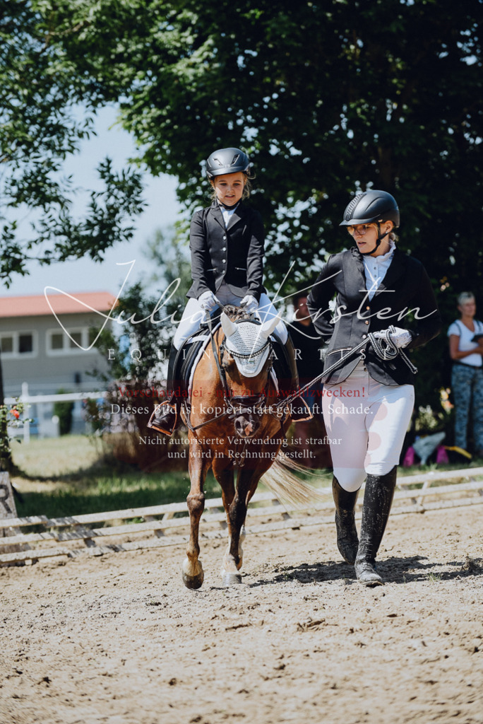 DSC_2546 | Pferde- und Turnierfotografie in Westsachsen. Pferdeportraits, Auftragszeichnungen und intuitive Kunst.