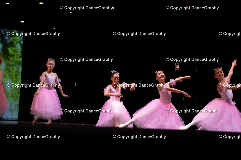 GPHY5677 | DanceGraphy - Realisiert mit Pictrs.com