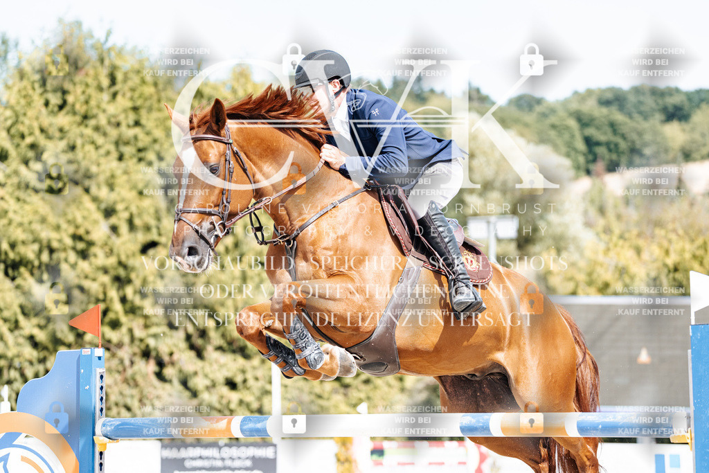 CK905360 | Turnierfotografie Pferdefotografie Trier Rheinland-Pfalz Pferdesport Reitsport Tierfotografie Sportfotografie Pferdevideo Pferdevideografie Equestrianvideography equestrianphotography  - Realisiert mit Pictrs.com