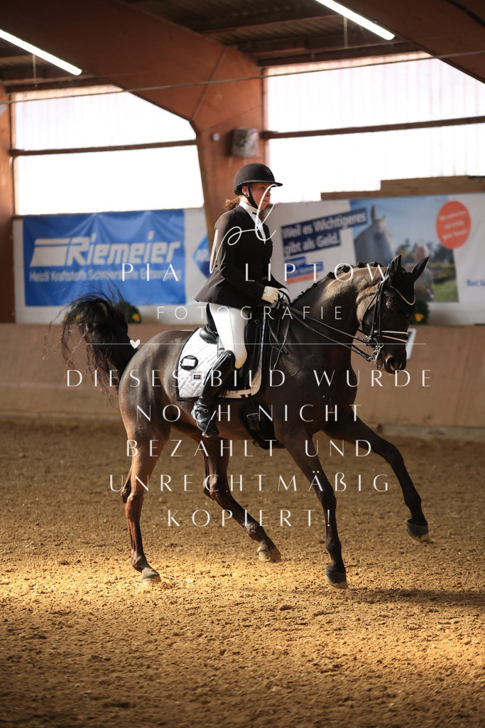 IMGT2779 | pl-fotografie