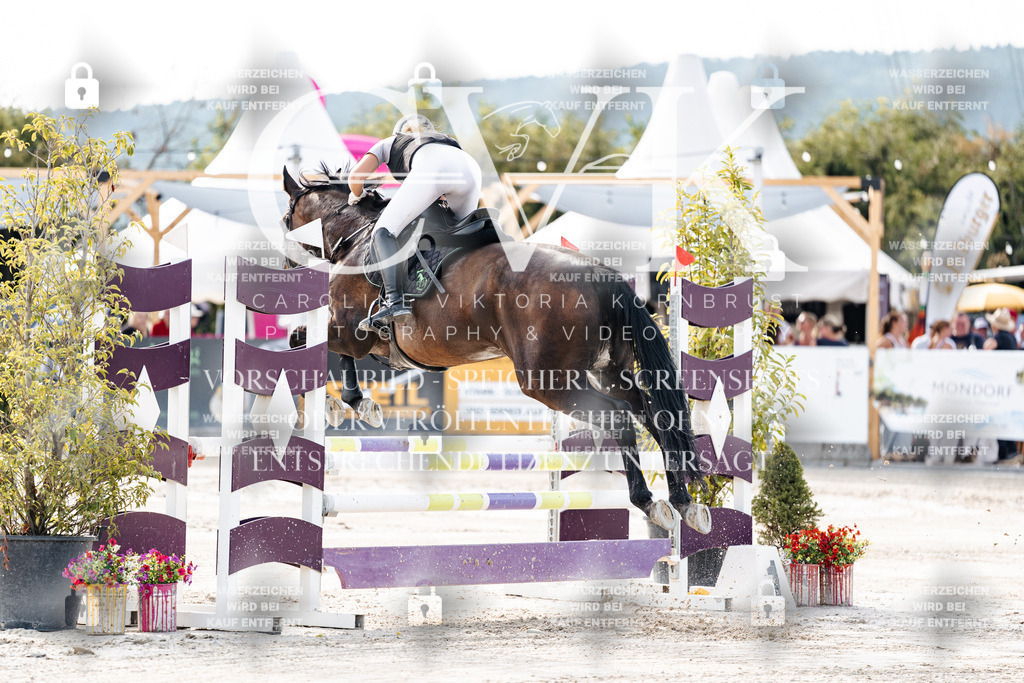 CK906128 | Turnierfotografie Pferdefotografie Trier Rheinland-Pfalz Pferdesport Reitsport Tierfotografie Sportfotografie Pferdevideo Pferdevideografie Equestrianvideography equestrianphotography  - Realisiert mit Pictrs.com