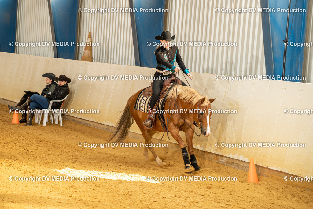 MIT00874 | dv-media-shop - Realisiert mit Pictrs.com