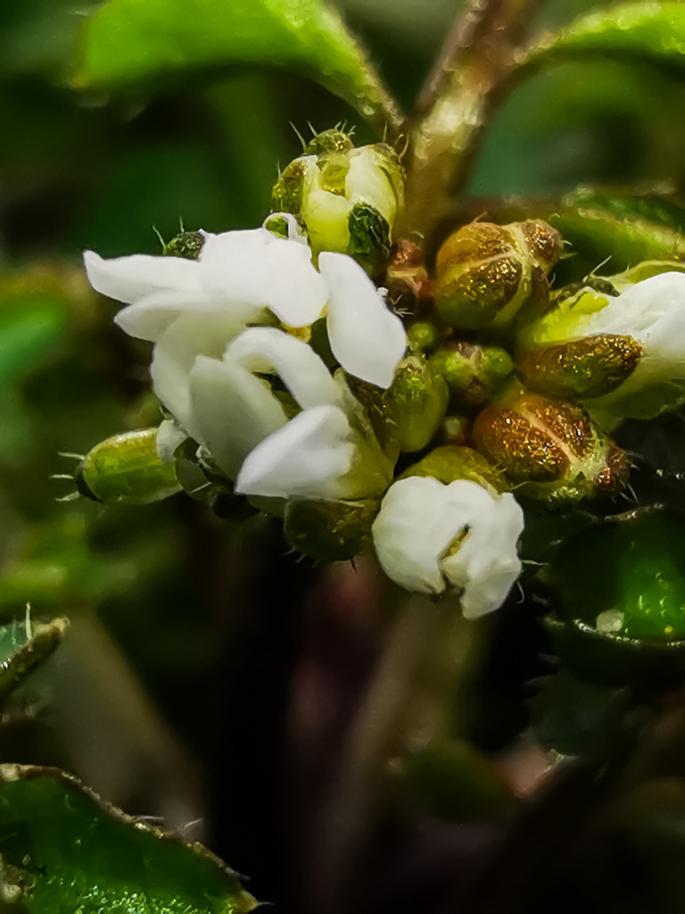 PSX_20230214_234458 | mtkfoto_ - Realisiert mit Pictrs.com