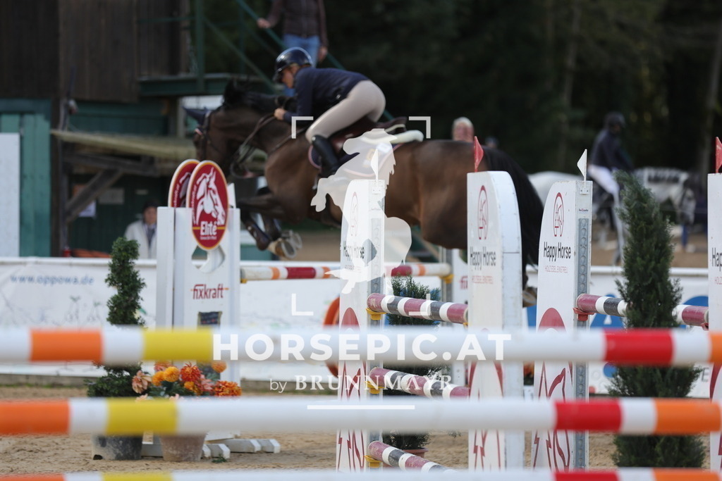 0P6A0895 | Willkommen bei Brunnmayr - Design & Fotografie – Ihrem Spezialisten für Reitturniere und Pferdeveranstaltungen in Oberösterreich, Salzburg und Bayern! Seit über 17 Jahren sind wir leidenschaftlich dabei.