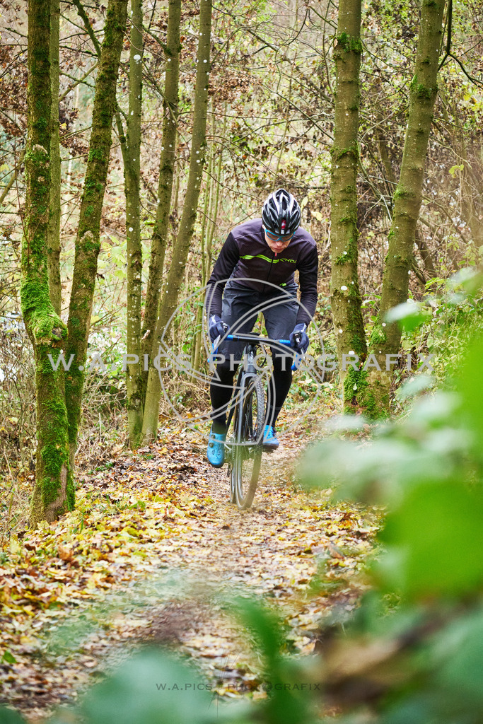..... | AUSTRIA, 24.11.24, 3.Radquerfeldein GP um das Sportzentrum Gunskirchen Image shows: Photo: Wapics / Michael Ring