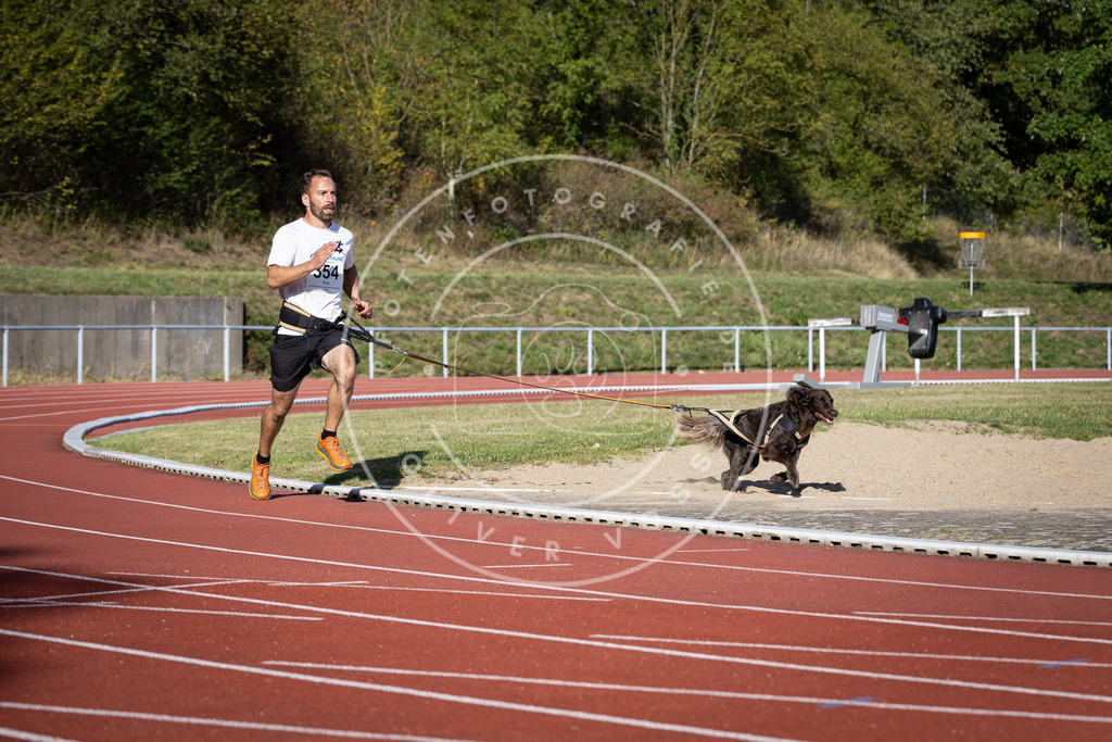 Pfotenfotografie_DV3A9580 | Hundefotografie, Tierfotograf, Pfotenfotografie, Fotoshooting Hund, Hunde Portrait, Hundesport, Hundeportraits, Heideshooting, Hunde, Sportfotograf, Hundefotograf, Turnierhundsport, THS,  - Realisiert mit Pictrs.com