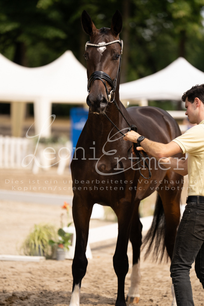 6.Fr00184 | Leoni Ertmer Photography - Realisiert mit Pictrs.com