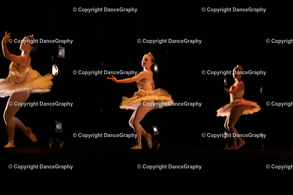 GPHY6512 | DanceGraphy - Realisiert mit Pictrs.com