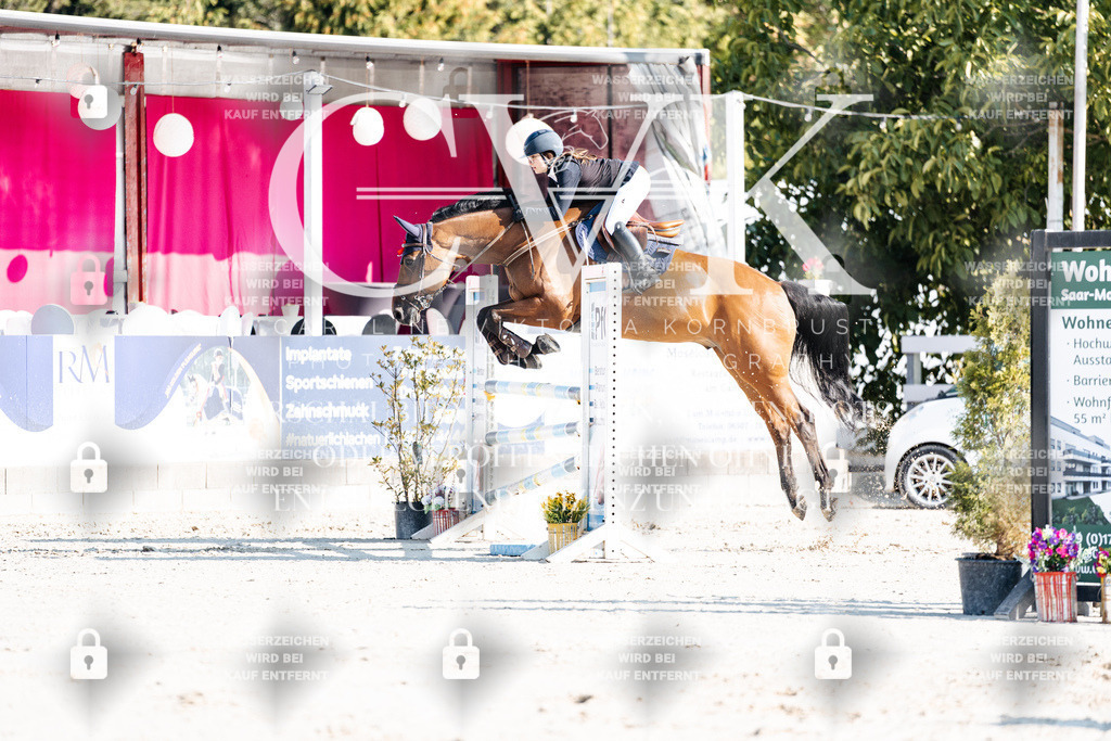 CK901702 | Turnierfotografie Pferdefotografie Trier Rheinland-Pfalz Pferdesport Reitsport Tierfotografie Sportfotografie Pferdevideo Pferdevideografie Equestrianvideography equestrianphotography  - Realisiert mit Pictrs.com