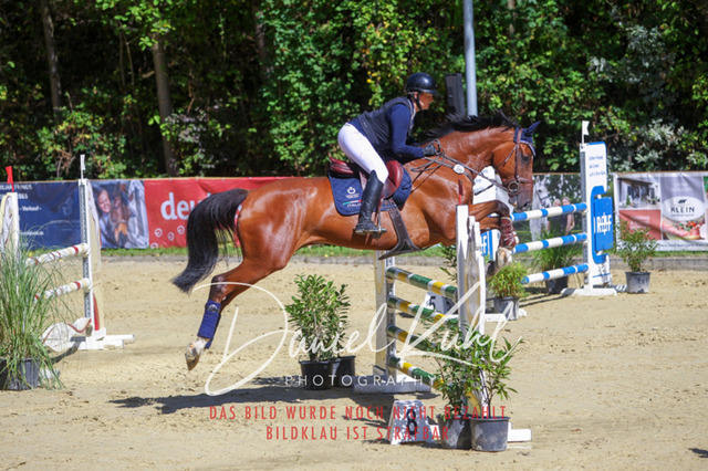 DKP43150 | Deine Turnierfotos vom Reitturnier online kaufen: Dressur, Springen & Siegerehrung. Professionelle Pferdefotografie aus dem Rheinland – als Download & Print.Alternative: Turnierfotograf für den Pferdesport: Finde deine Fotos von Dressur- und Springturnier