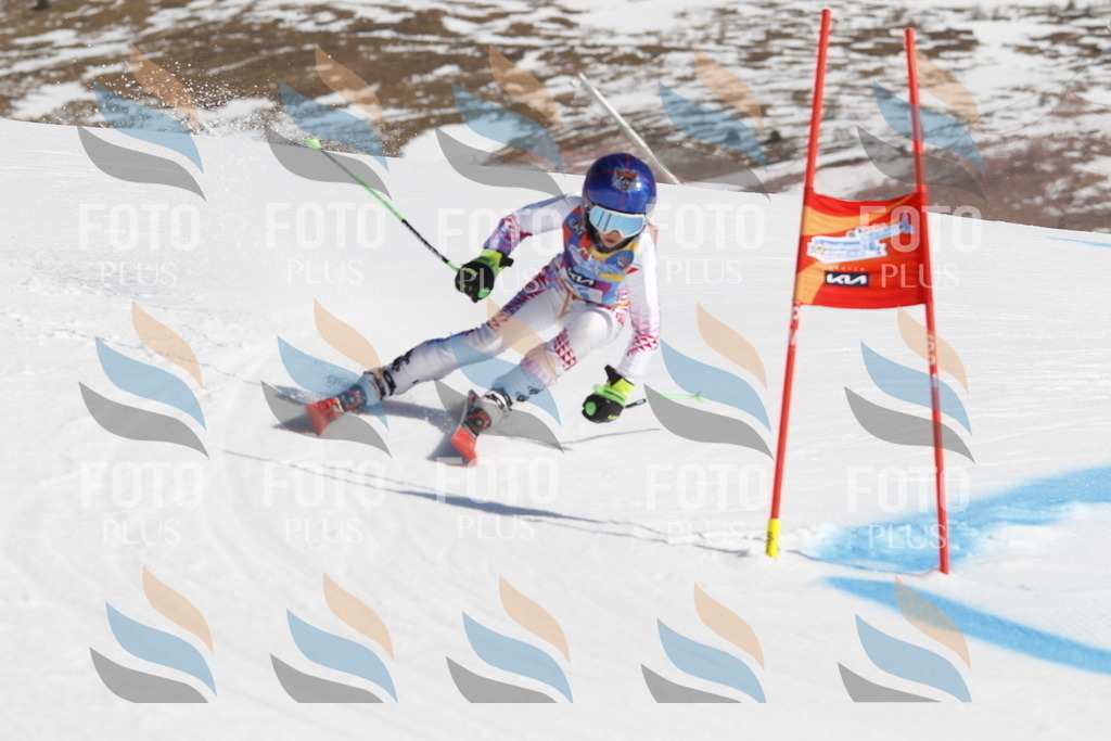 _U3G8946 | holidayphoto