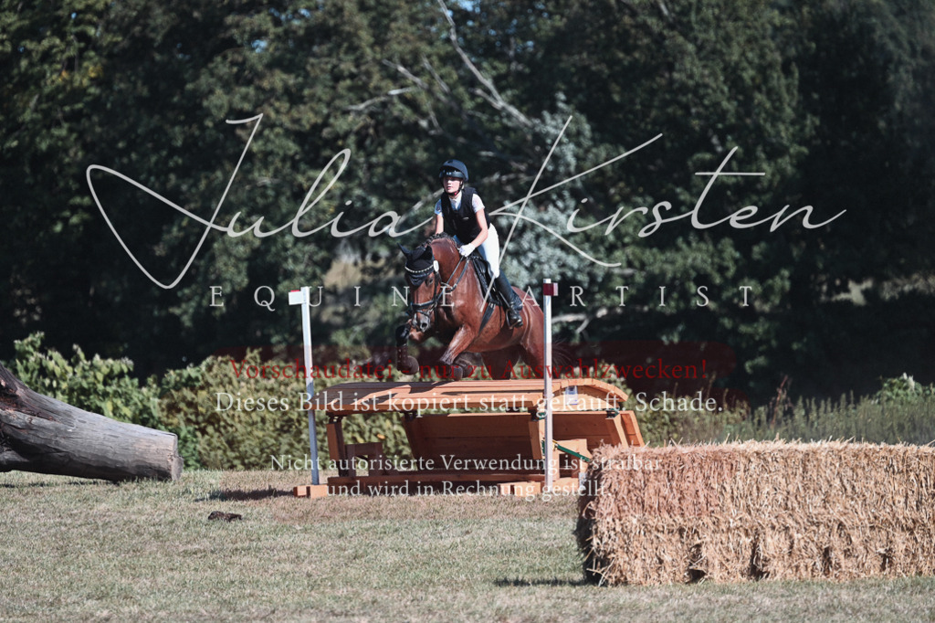 DSC_8603 | Pferde- und Turnierfotografie in Westsachsen. Pferdeportraits, Auftragszeichnungen und intuitive Kunst.