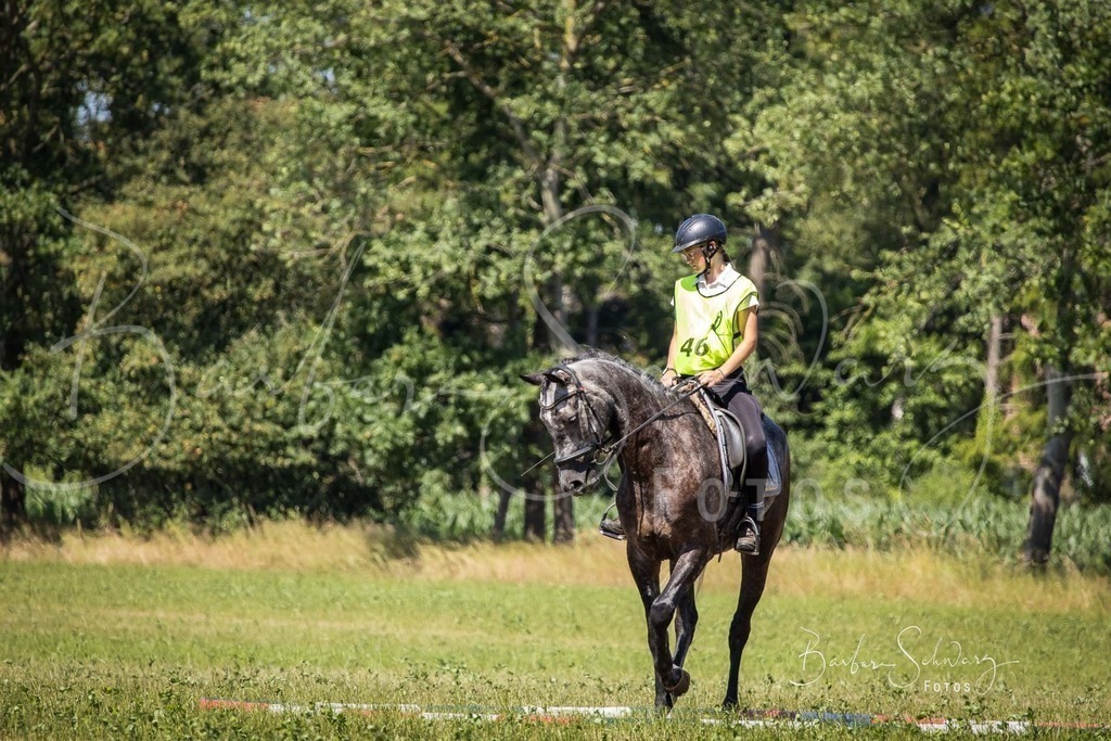 CJP_2026-06-26_127 | Stimmungsvolle Fotografie von Pferden, fotografische Begleitung von Veranstaltungen, Golfturnieren und Distanzritten - Realisiert mit Pictrs.com