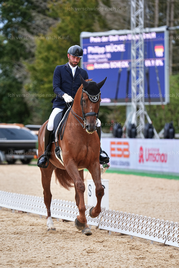 04_1-165-Dressur M__ -Marixx-2786 | working equitationturnier fotograf videograf stoibphotography marixx film working equitation deutschland reitsport turnierfotografie eventfotografie equestrian events