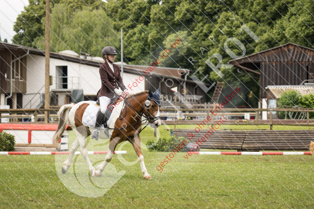 IMG_8396 | Sport-, Event- und Tierfotos in Profiqualität. Einfach auswählen, bestellen und herunterladen. Dein Moment – perfekt festgehalten.