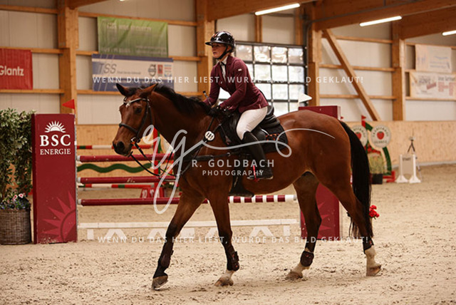 1J2A6179Juliane Weihs_ Cryptonit_ Kn191_ Glantz_ Hohen Wieschendorf | Foto- und Videografie für alles rund ums Pferd. Hochwertige Bilder und Videos vom Spring- und Dressurreiten, Voltigieren & mehr. Jetzt aktuelle Veranstaltungen und Preise im Shop ansehen. - Realisiert mit Pictrs.com