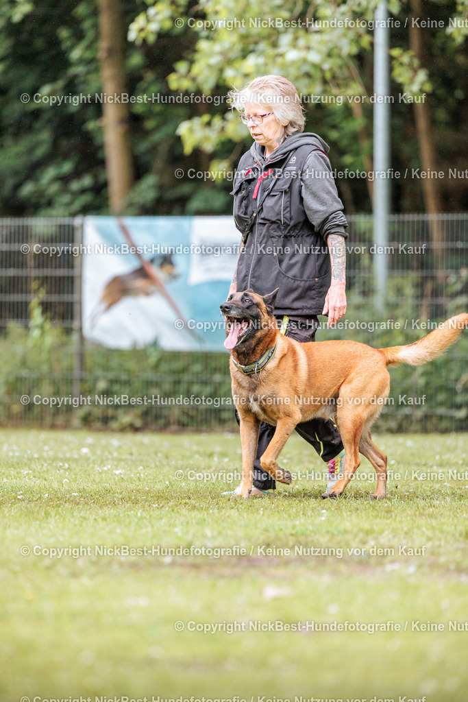 RO-Blumenthal-2026-Nickbest-Hundefotografie-4103 | Dein Hund! Dein Moment! Deine Erinnerungen! Hundefotografie in Bremen Blumenthal. Ich fange die besonderen Momente deines Vierbeiners ein – ob Indoor mit Blitzanlage oder in der freien Natur. Sicher dir dein Moment und dein Termin für eure Erinnerungen.