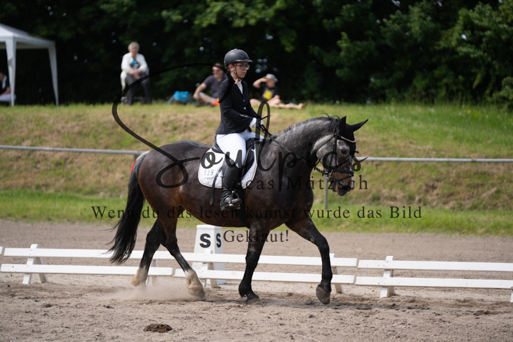 A7V02822 | Pferdefotograf