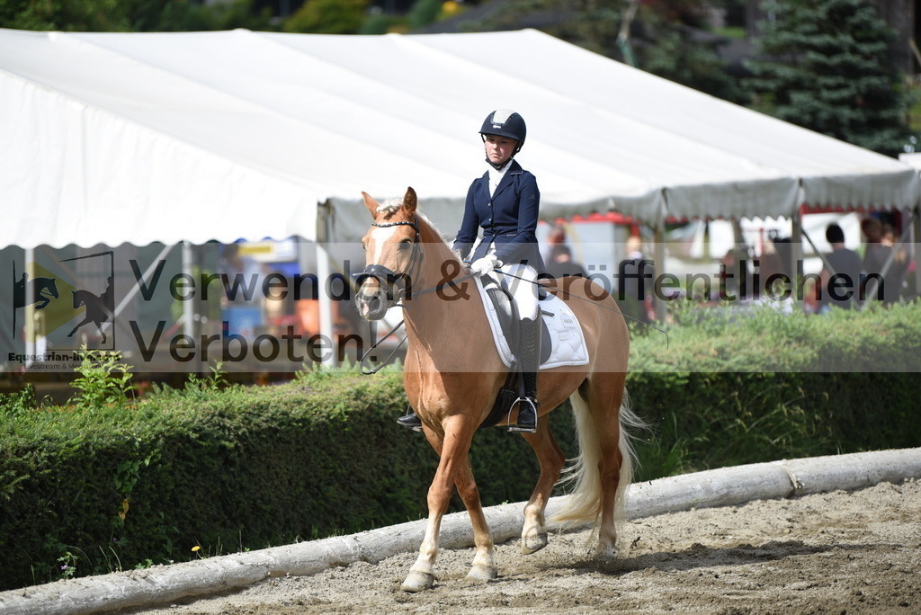 DSC_4998 | equestrian-live-com