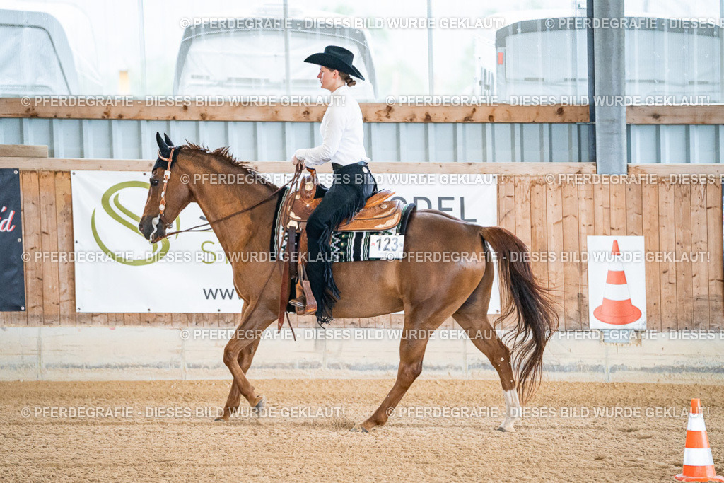 DSC01131 | Pferdegrafie