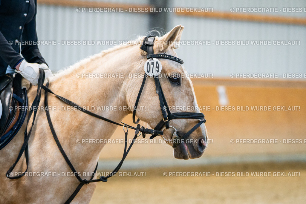 DSC00849 | Pferdegrafie