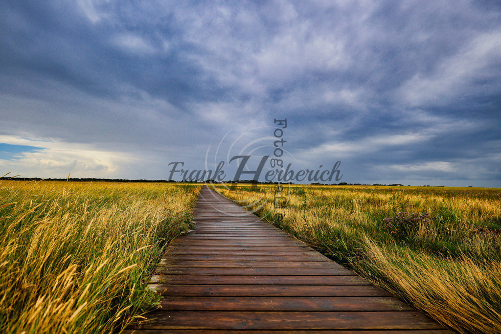 St. Peter Ording | St. Peter Ording - Realisiert mit Pictrs.com