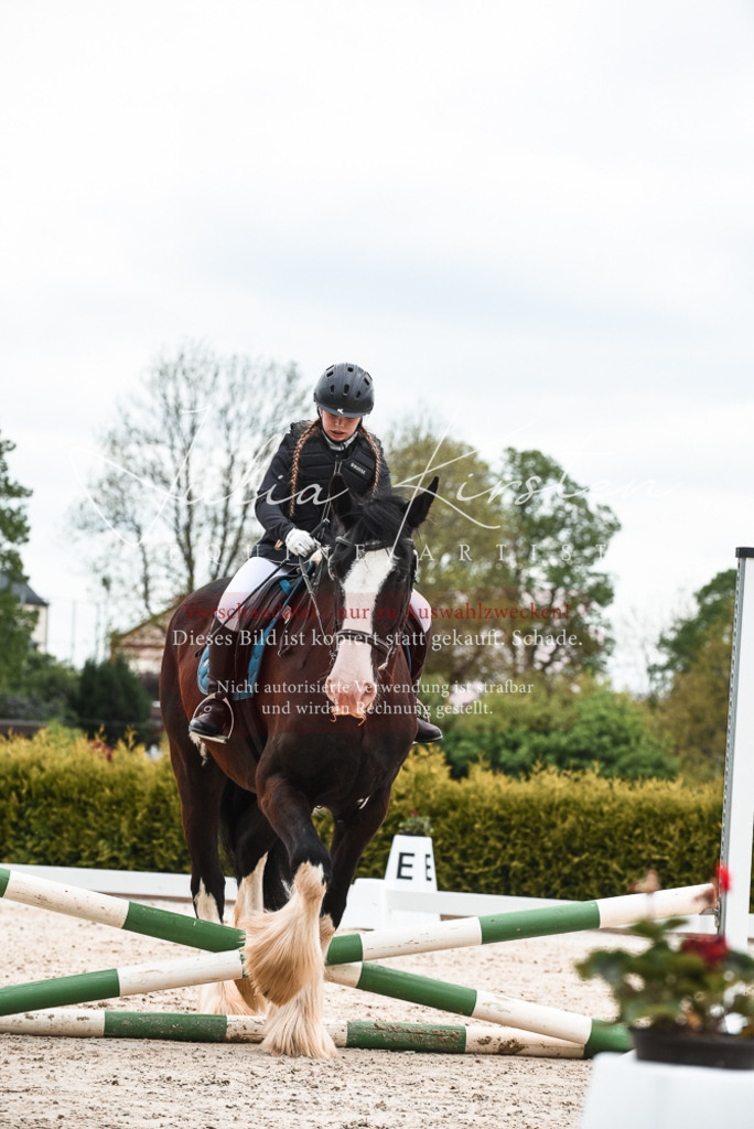 20230518_JK-Röhrsdorf-10-369 | Pferde- und Turnierfotografie in Westsachsen. Pferdeportraits, Auftragszeichnungen und intuitive Kunst.