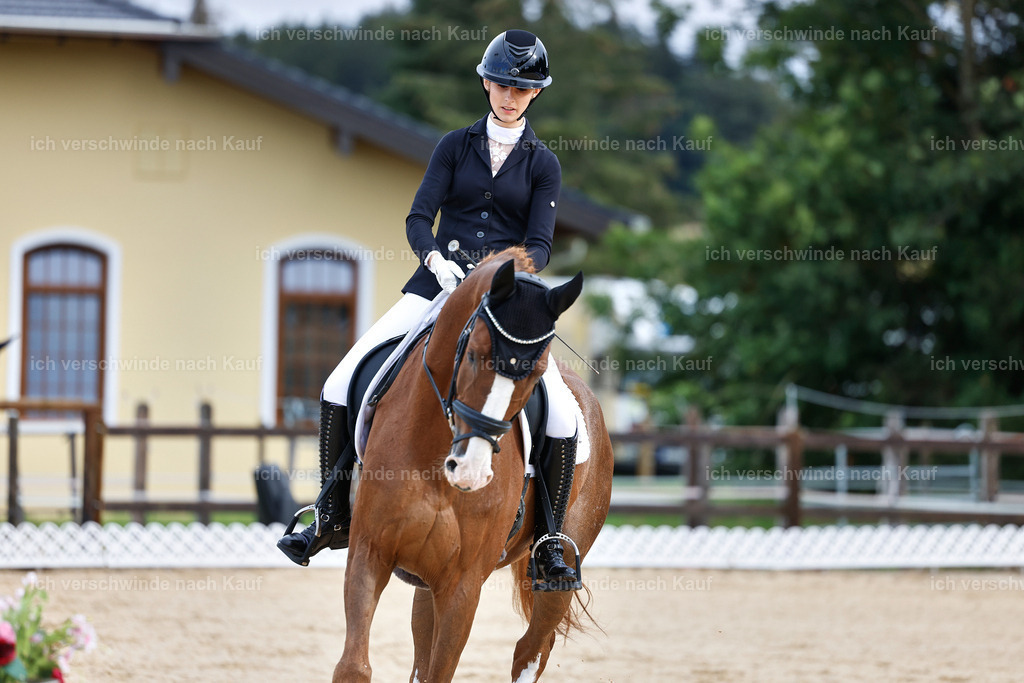 02-037-DRESSUR L_  -StoibPH-4678 | working equitationturnier fotograf videograf stoibphotography marixx film working equitation deutschland reitsport turnierfotografie eventfotografie equestrian events
