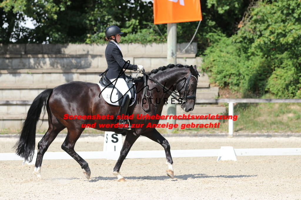 IMG_6907 | lmwpictures - Realisiert mit Pictrs.com