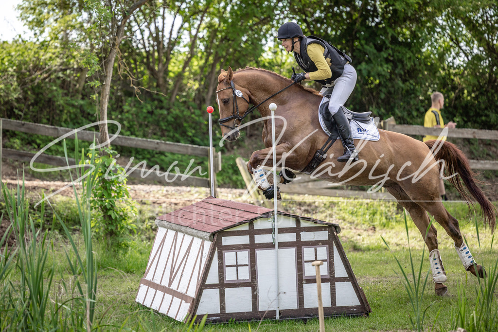 20260523-_3LI9393 | Tierfotografie Pferde, Hunde, Katzen, Haustiere.
Turnierfotografie Reitturniere, Reiten, Springreiten, Dressur in Hanau, dem Main-Kinzig-Kreis und dem Rhein-Main- Gebiet um Frankfurt