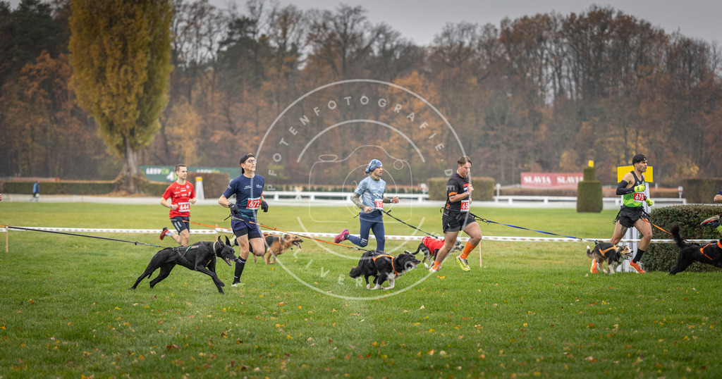 CaniXpix_DV3A9515 | Hundefotografie, Tierfotograf, Pfotenfotografie, Fotoshooting Hund, Hunde Portrait, Hundesport, Hundeportraits, Heideshooting, Hunde, Sportfotograf, Hundefotograf, Turnierhundsport, THS,  - Realisiert mit Pictrs.com