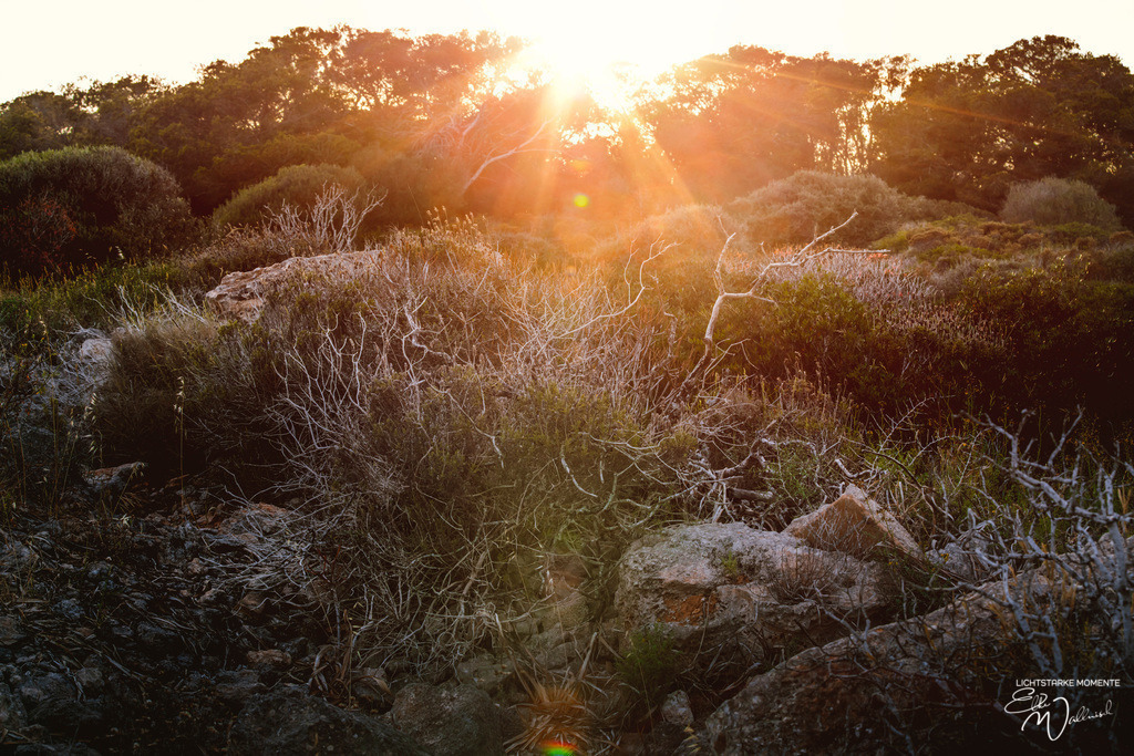 Cala Figuera | Herzlich willkommen auf meiner Seite! Ich bin Elke Wallnisch, Deine Fotografin für lichtstarke Momente. Der Name steht für alles, was mich mit der Fotografie verbindet: Das Licht und seine machtvolle Wirkung auf eine Situation oder unsere Stimmung - Realisiert mit Pictrs.com