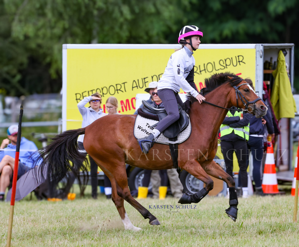 1B3A0705 | Reitsport Reiten