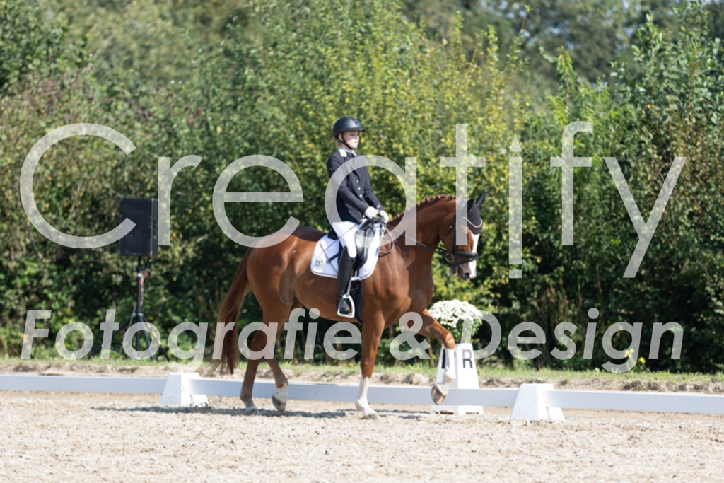 IMG_4327 | Creatify Fotografie